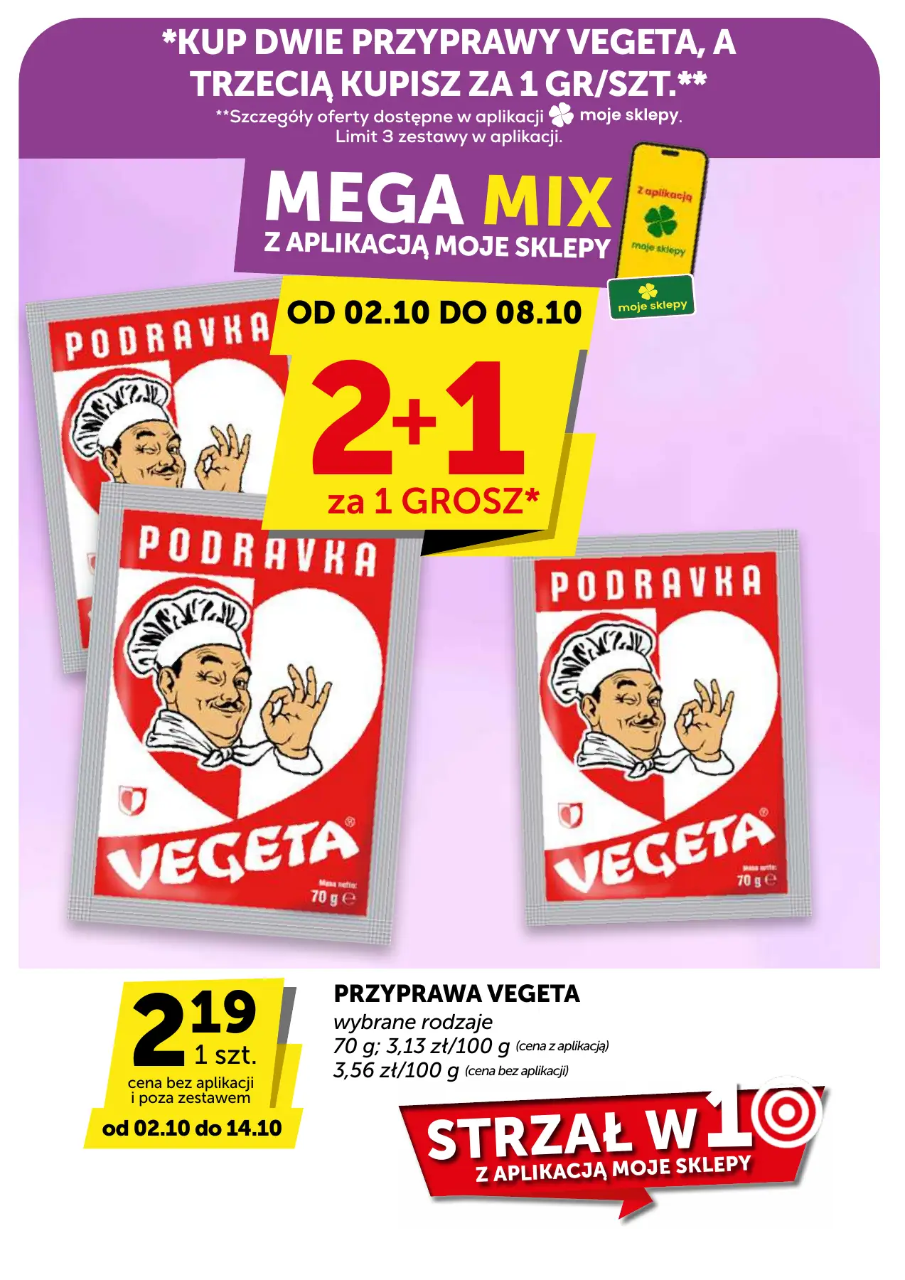 Strona 13