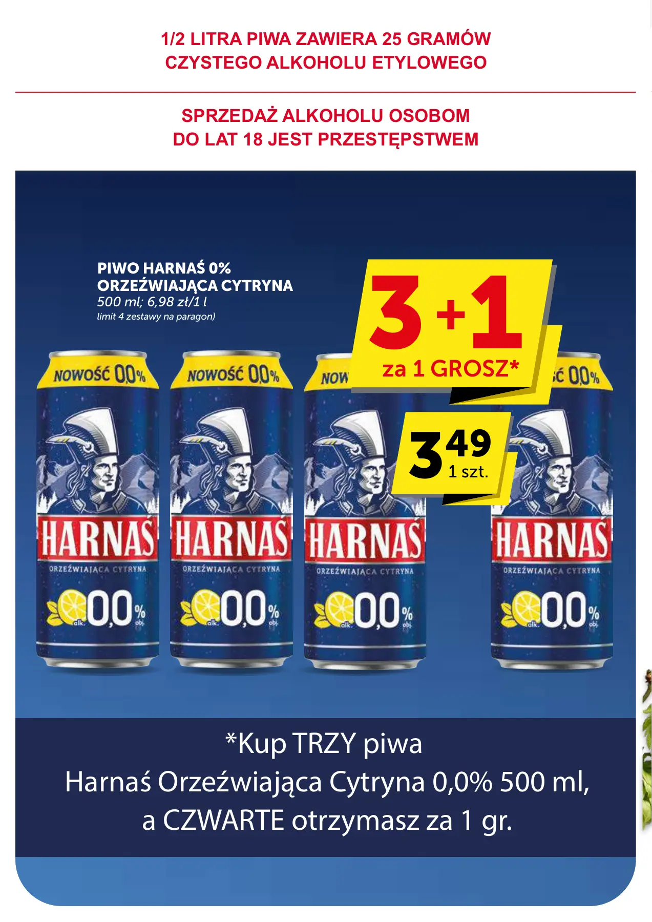 Strona 28