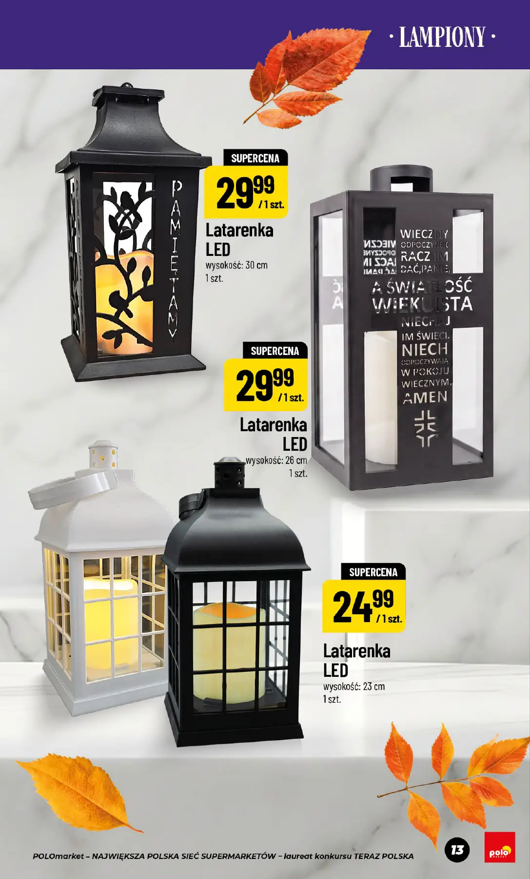 Strona 13